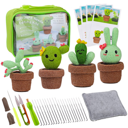 DIY Needle Felting Kit for Beginners - Cute Succulent & Cactus Potted Plants Set