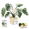DIY Needle Felting Kit for Beginners - Monstera | Cute Faux Potted Plant Home Decor