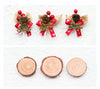3-in-1 Christmas Needle Felting Kit for Beginners – Shiba Inu & Penguin Wooden Display Set