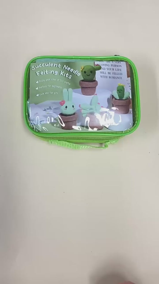 DIY Needle Felting Kit for Beginners - Cute Succulent & Cactus Potted Plants Set